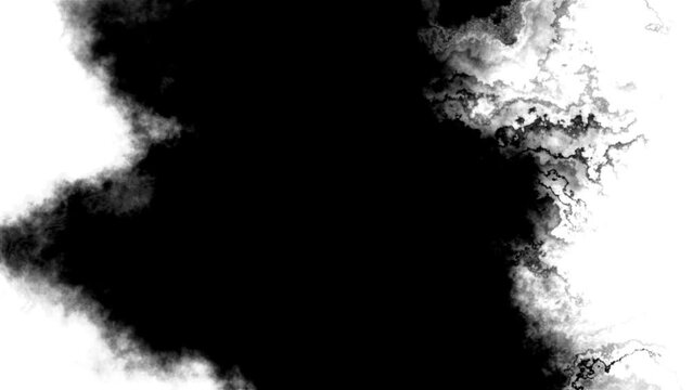 Transitions of black expanding paint stains on white backdrop Grunge Ink spreads and fills the screen. flows and streams. Ink bloom. Beautiful black watercolor ink leak drops transition paint 4K 3D