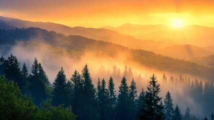 Fototapeta premium Golden sunrise over misty mountains, forest covered in morning fog, warm light spreading, serene and invigorating landscape