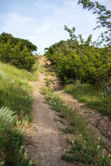 Rural road in recreation area around Lisi lake