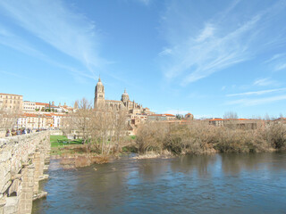 Fototapeta premium View of Salamanca with cathedral and Tormes River