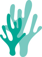 seaweed, under the sea creatures