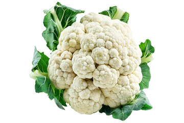 Fresh white cauliflower with leaves isolated on a white background.