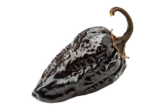 Black chipotle or Ancho chili pepper isolated on a white background.