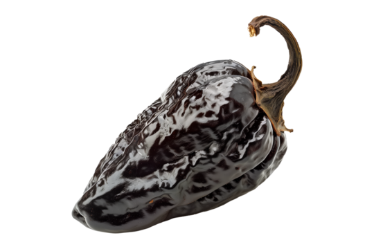 Black chipotle or Ancho chili pepper isolated on a white background.