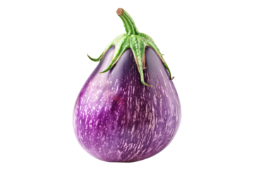 A single striped Fairy Tale purple eggplant is isolated on a white background.