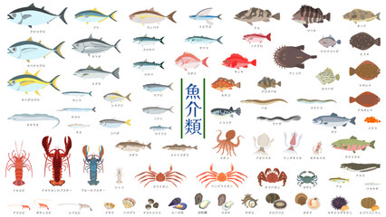 魚介類。マグロ、タイ、ウナギ、フグ、エビ、ロブスター、タコやイカ、貝類、ウニ、川魚など72種類の魚介類のフラットなベクターイラストセット。
Aquatic products. Flat vector illustration set of 72 types of seafood, including tuna, sea bream, eel, shrimp, lobster, and more.