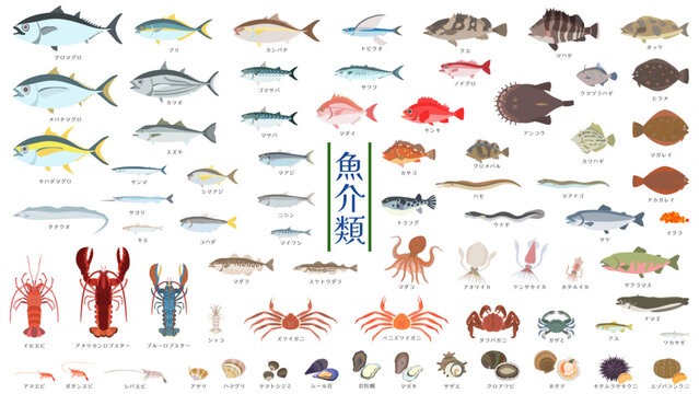 魚介類。マグロ、タイ、ウナギ、フグ、エビ、ロブスター、タコやイカ、貝類、ウニ、川魚など72種類の魚介類のフラットなベクターイラストセット。
Aquatic products. Flat vector illustration set of 72 types of seafood, including tuna, sea bream, eel, shrimp, lobster, and more.