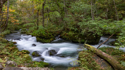 奥入瀬渓流 