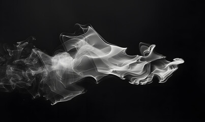 Fototapeta premium Abstract white smoke or steam swirls