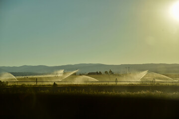 夕日の中の、ファーム、センターピポット散水機が散水している様子