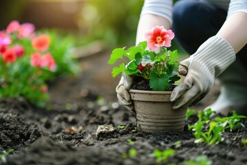 Planting Flowers in a Garden