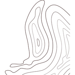 Topographic Line Corner