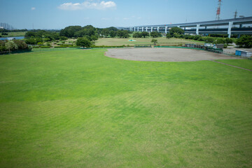 Obraz premium 開けた芝生の公園、草野球の会場