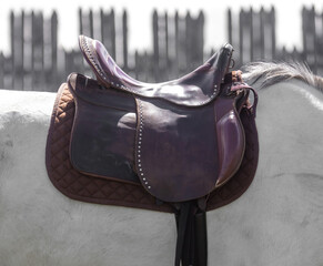 Close-up of a saddle on a white horse