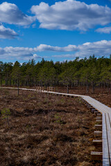 Obraz premium wooden path road in the countryside