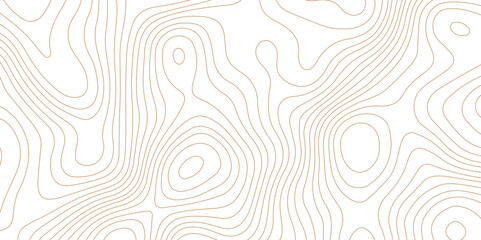 Abstract topographic contour map and geographic mountain relief background design .topography contour map white wave paper and curve brown color lines vector background .