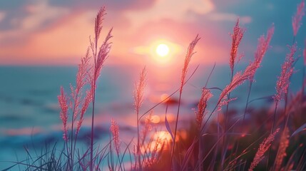 Obraz premium Close up view of swaying grass near the sea during sunset in a picturesque summer seascape
