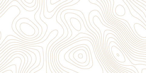 Abstract topographic contour map and geographic mountain relief background design .topography contour map white wave paper and curve brown color lines vector background .