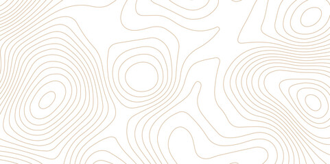 Abstract topographic contour map and geographic mountain relief background design .topography contour map white wave paper and curve brown color lines vector background .