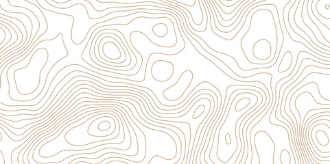 Abstract topographic contour map and geographic mountain relief background design .topography contour map white wave paper and curve brown color lines vector background .