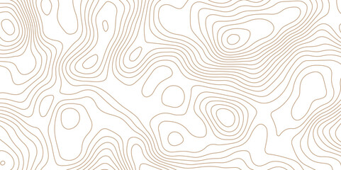 Abstract topographic contour map and geographic mountain relief background design .topography contour map white wave paper and curve brown color lines vector background .