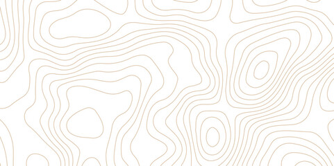 Abstract topographic contour map and geographic mountain relief background design .topography contour map white wave paper and curve brown color lines vector background .