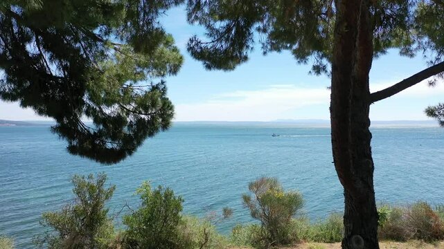 Video from a drone flying smoothly through the branches of pine trees to the open sea on a sunny summer day, the coast of Istres, Provence, France