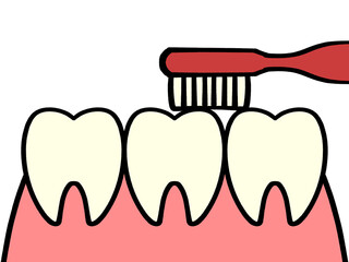 歯の磨き方指導、小刻みに動かすのイラスト素材