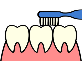 歯の磨き方指導、小刻みに動かすのイラスト素材