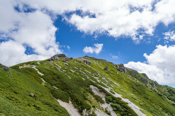 夏空の蓮華岳