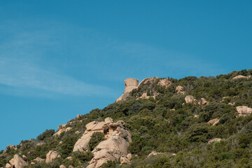 Fototapeta premium Tour de Roccapina, an ancient Genoese tower in the maquis overlooking the coast of Corsica at Roccapina beach