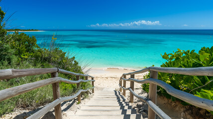 Obraz premium Scenic pathway leading to a secluded beach with turquoise waters and clear blue summertime skies 