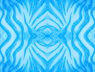 Turquoise Pattern. White Ethnic Patterned Animal. Indigo Cat. Seamless Stripe Print. Tiger Illustration Vintage. Turquoise Pattern Zebra. Abstract Stripe.