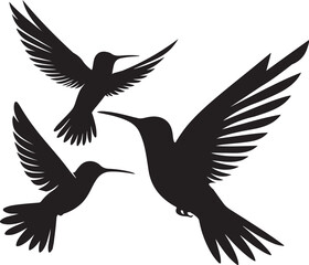 Set of hamming bird silhouettes black color  white color background