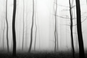 Foggy Forest Material Structure Background - Generative AI