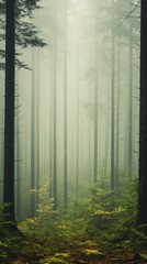 Foggy Forest Material Structure Background - Generative AI