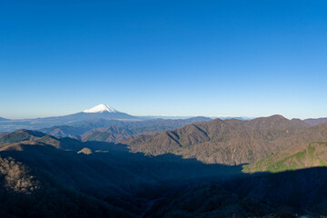 丹沢からの富士山