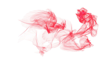 pink feather isolated