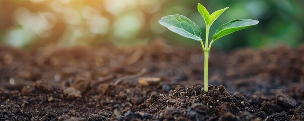 Sustainable stocks market rising, green finance growth illustrated