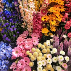 Colour Psychology and Flower Selection  at the market, full frame