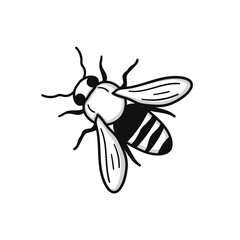 hand drawn bee in doodle style
