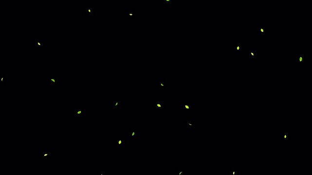 水彩イラスト風の舞い落ちる緑の葉 小さめ(透過背景 4K)