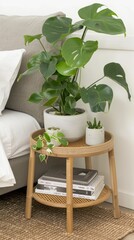 A white couch with decorative pillows and a potted plant sits in a minimalist living room