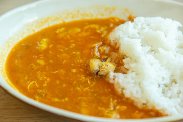 スパイスチキンカレー
