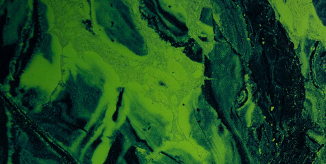 Let the Vivid Colors and Intricate Abstract Patterns Ignite Your Imagination