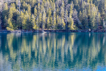 Green Lakes State Park in Syracuse, New York. View of treelined shore with a beautiful reflection of trees in the water on a sunny winter day.