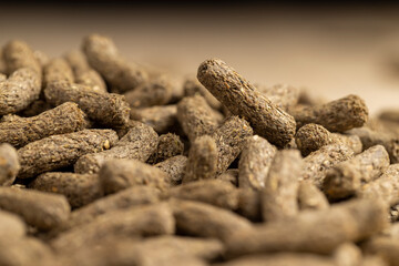 mixed food for healthy eating of rodent pets
