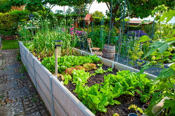 Residential garden, private vegetable garden. Landscape design in home garden, beautiful...