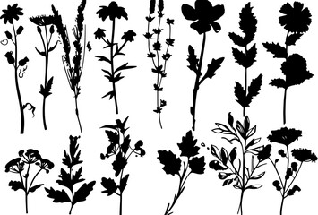 Hand drawn flower silhouettes Illustration