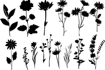 Hand drawn flower silhouettes Illustration